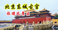 肛交母狗中国北京-东城古宫旅游风景区